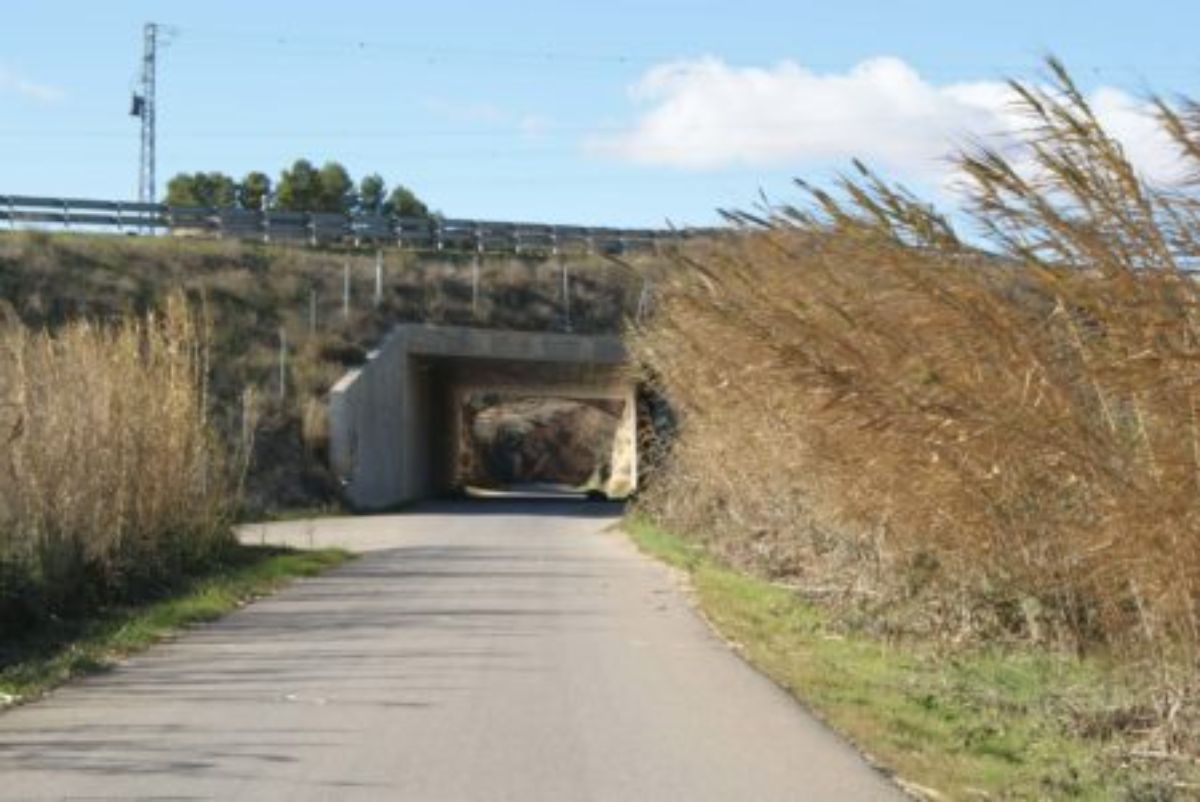 cuatro-municipios-acogeran-pruebas-usar-cana-biomasa
