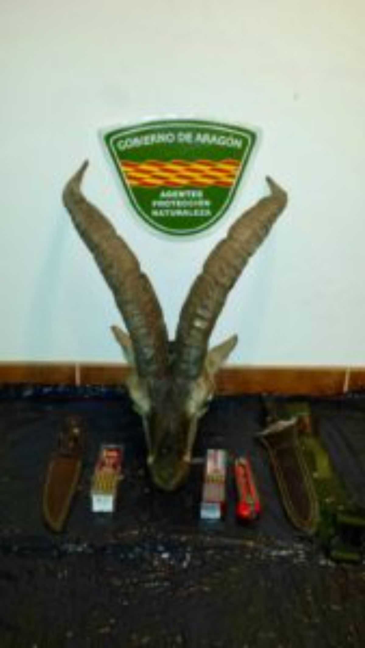 alcorisa-cazadorfurtivoenmolinos-14-01-2017