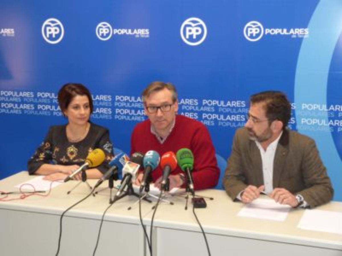 pp hospital alcaniz