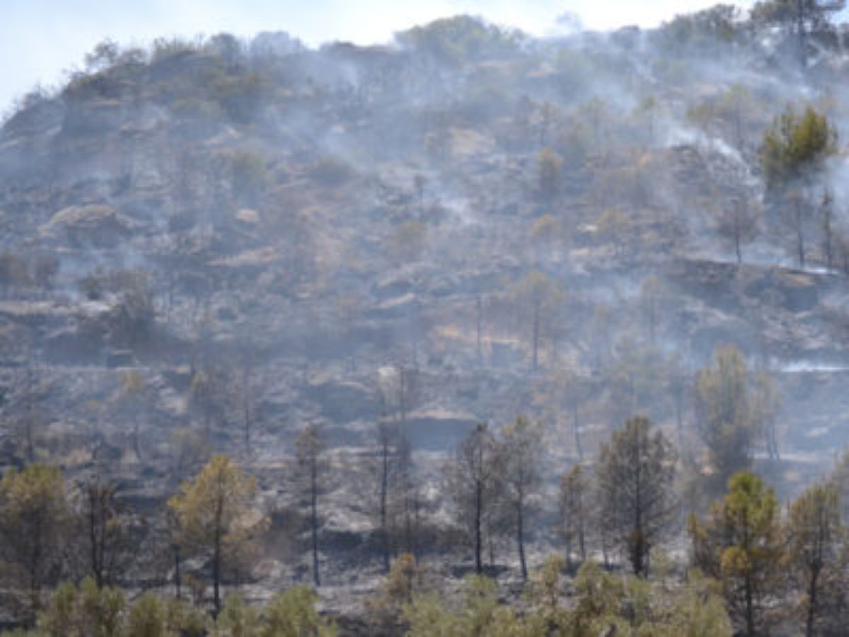 alcaniz-incendios