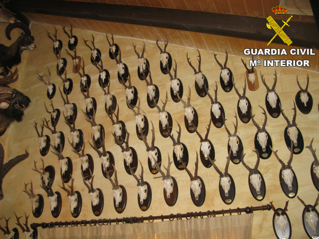 guardia civil caza furtiva pared