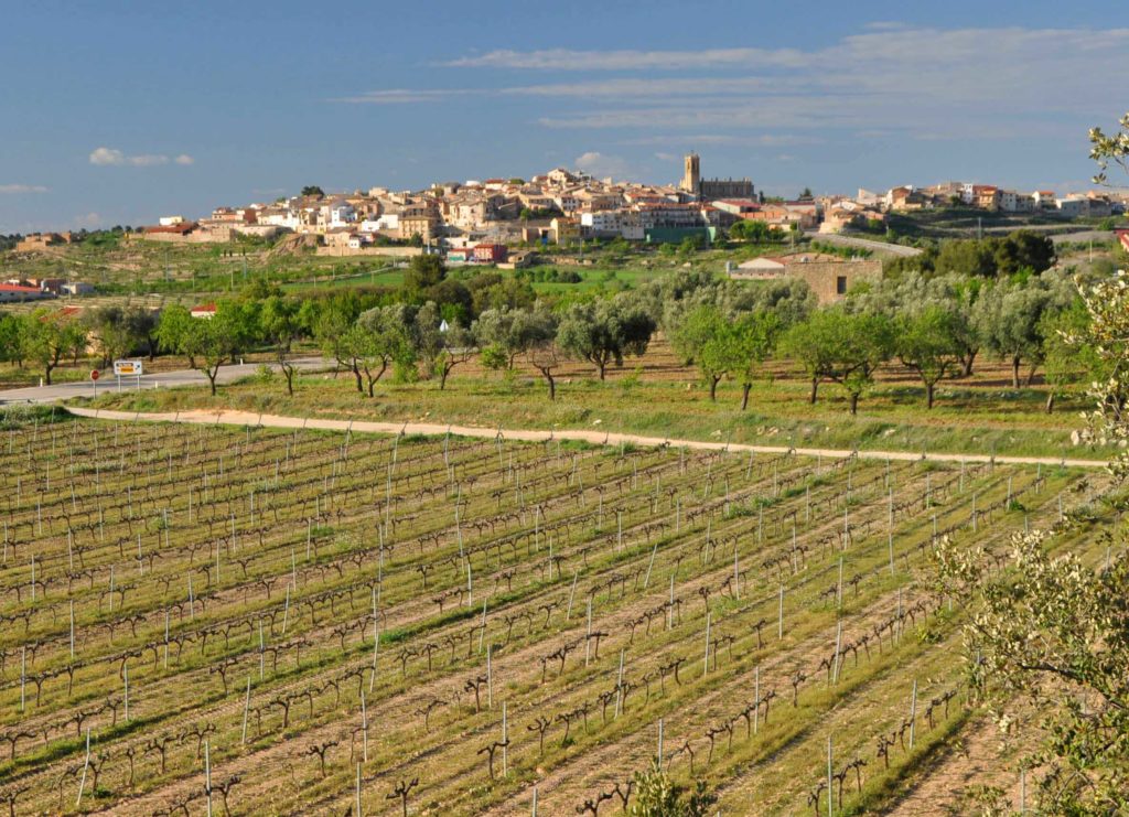 La Comarca