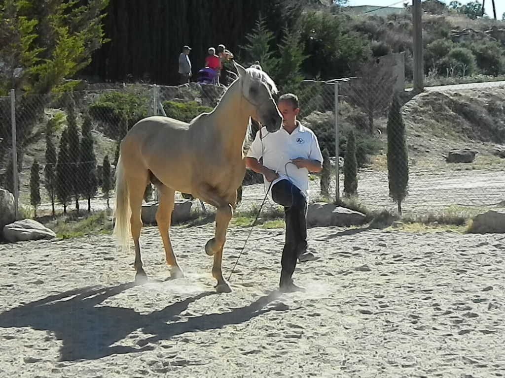 La Comarca