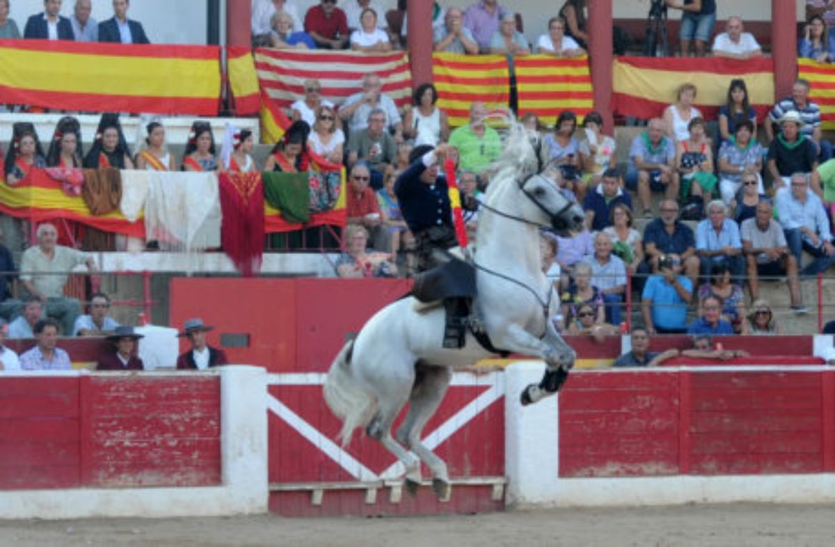 alcaniz-toros