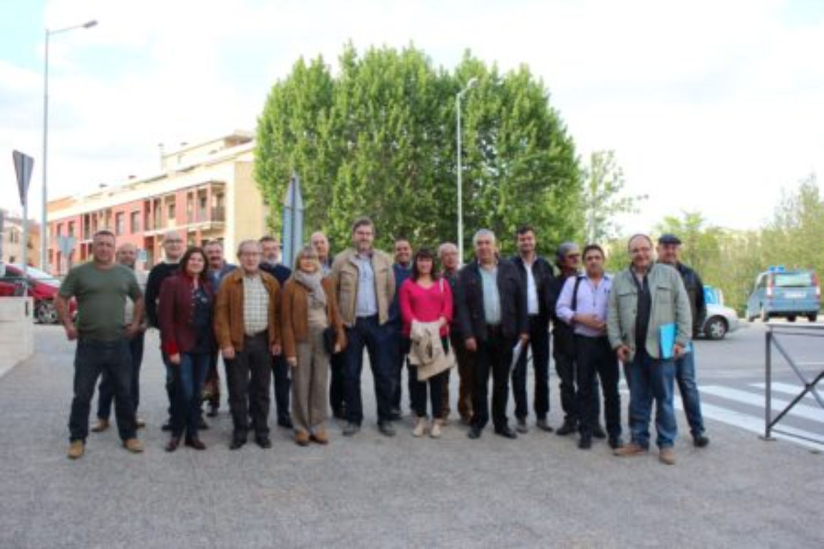 psoe presupuestos