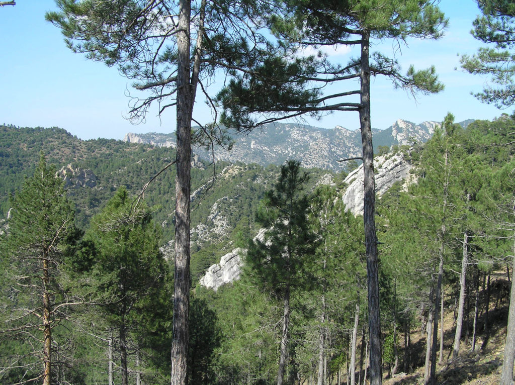 La Comarca