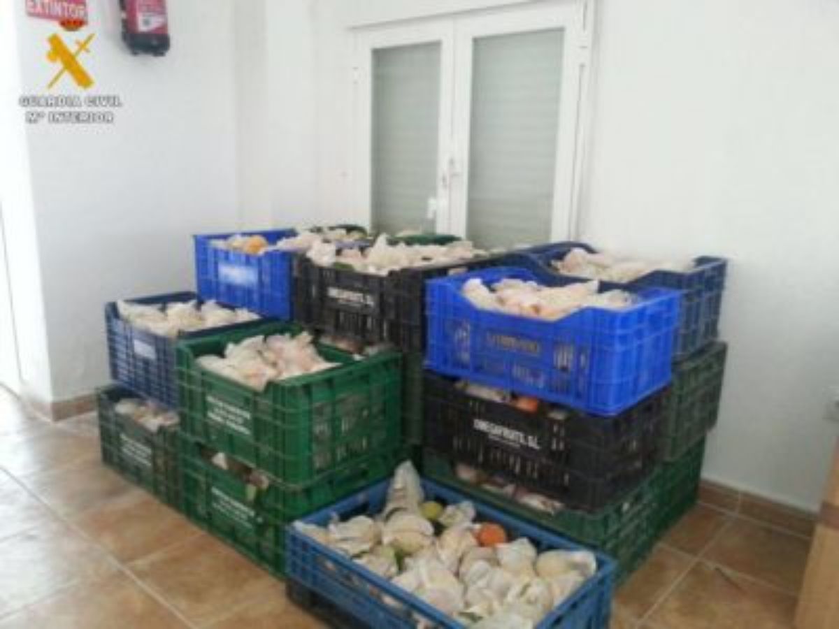 dos-detenidos-por-robar-434-kilos-melocoton-chiprana