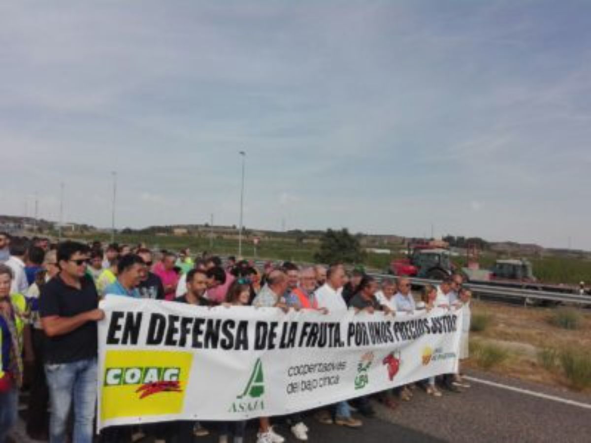 4 manifestacion Soes