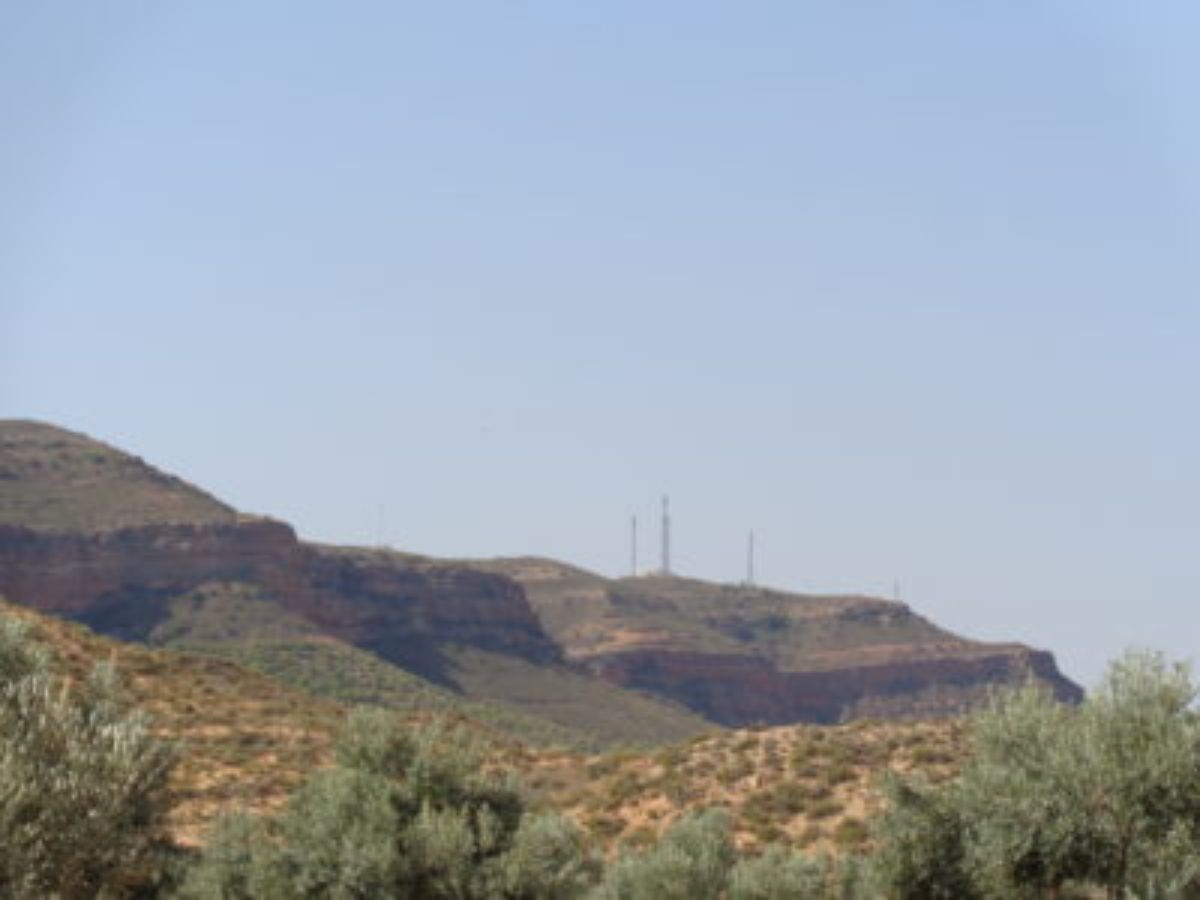 DSC06444