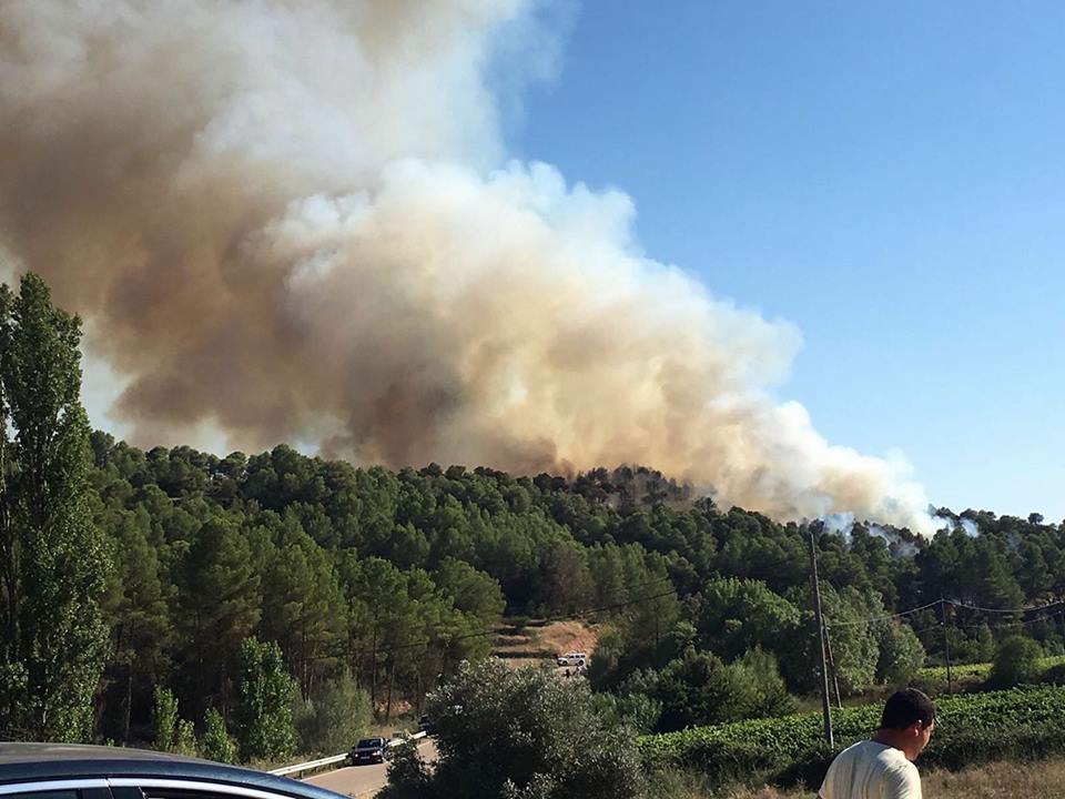 lledoincendiollamas