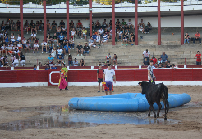 piscinavacas