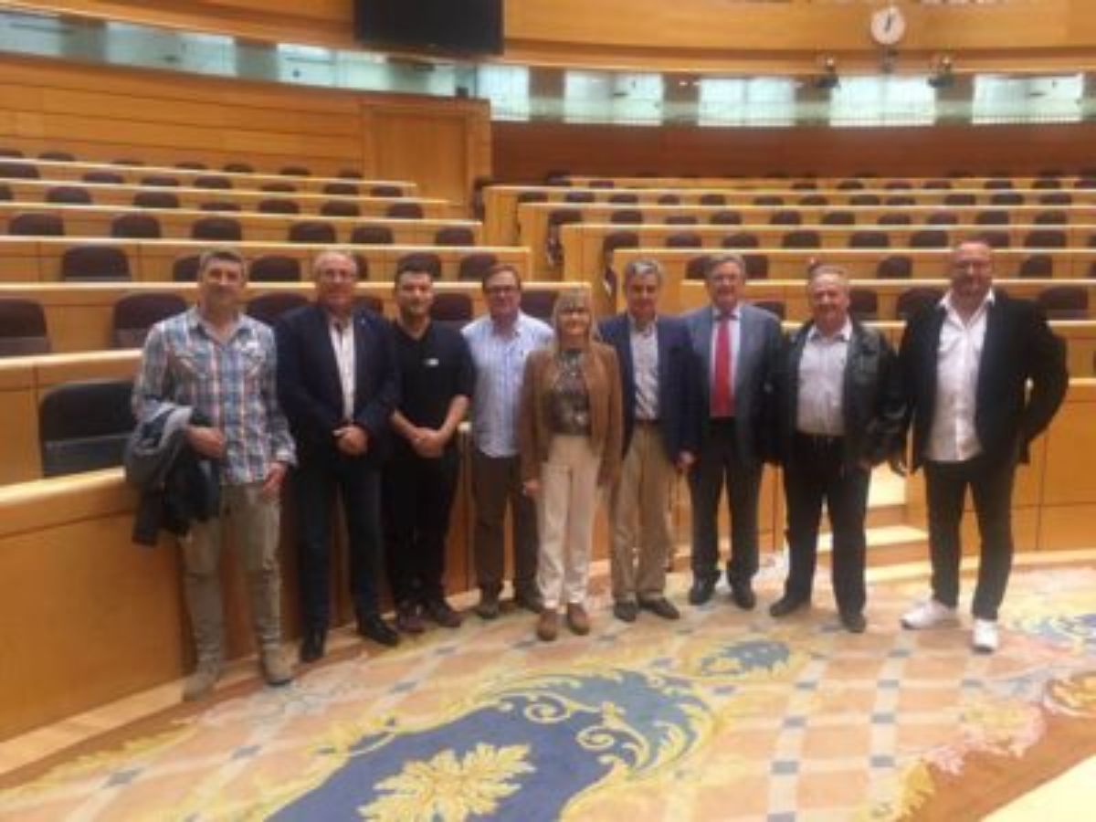 sector-carbon-urge-real-decreto