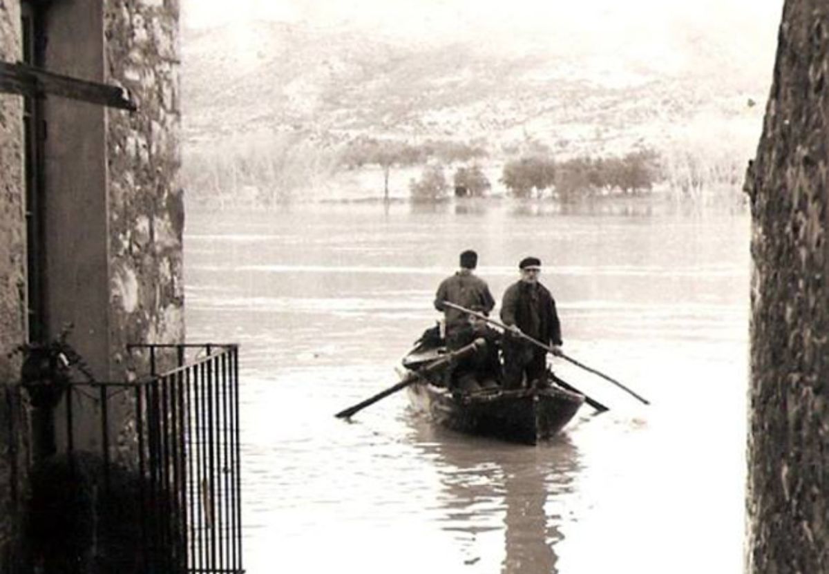 fayonportada