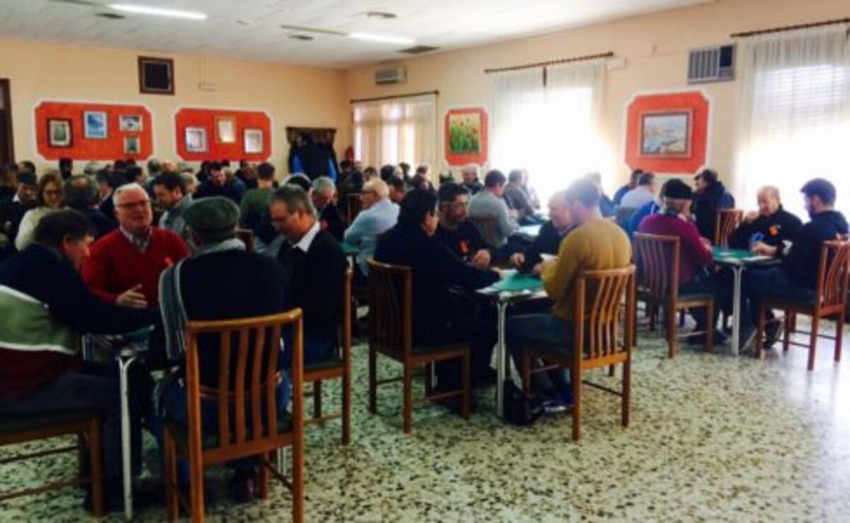 Campeonato de Butifarra en Maella.