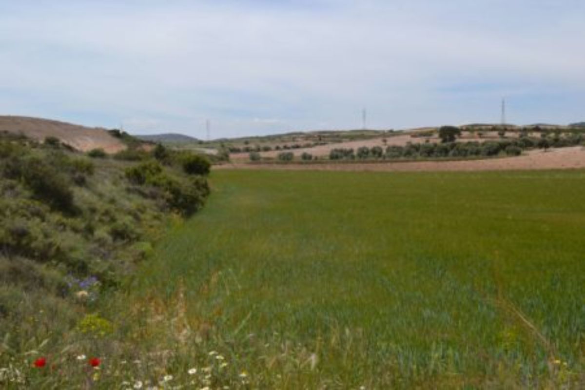 consejo-local-agrario-andorra-denuncia-la-problematica-mundo-rural