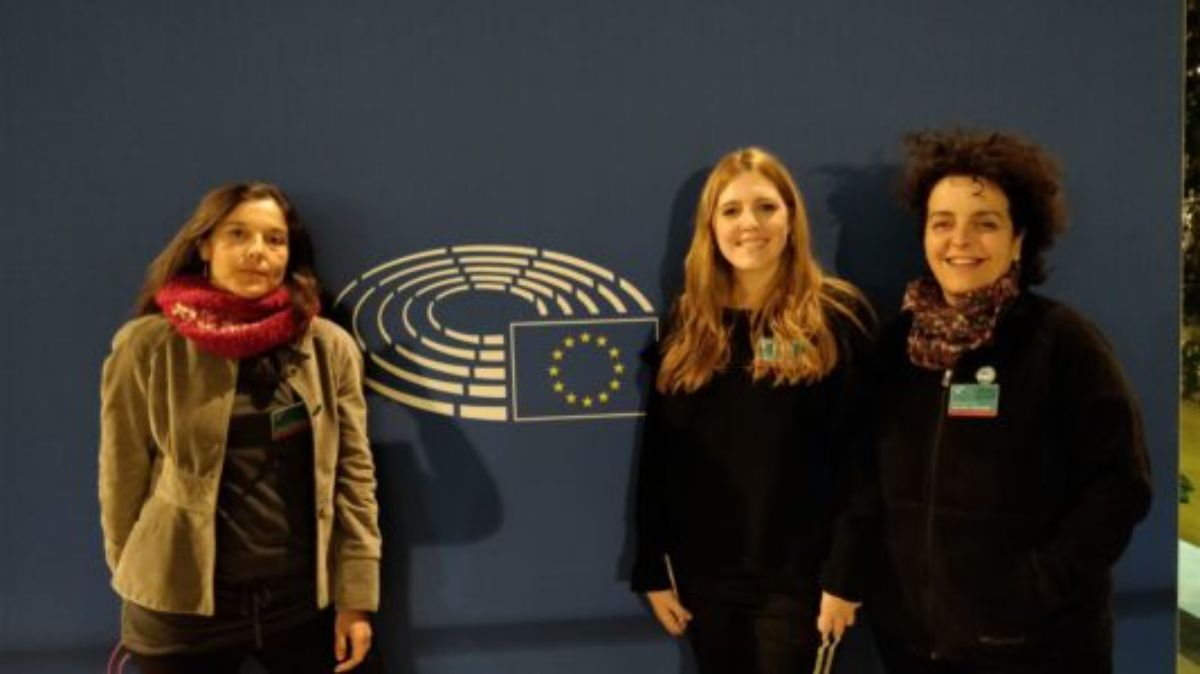 sofia serrano termica energias renovables estrasburgo