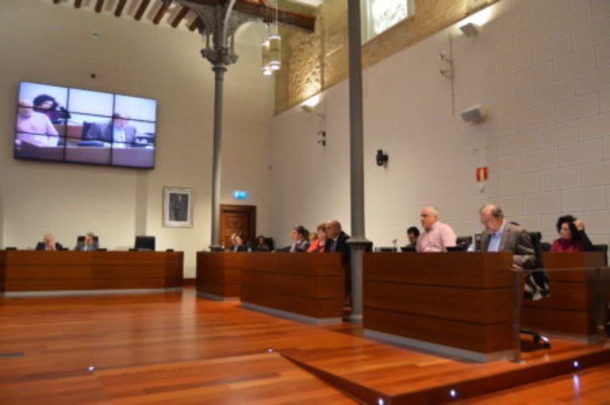 pleno dpz