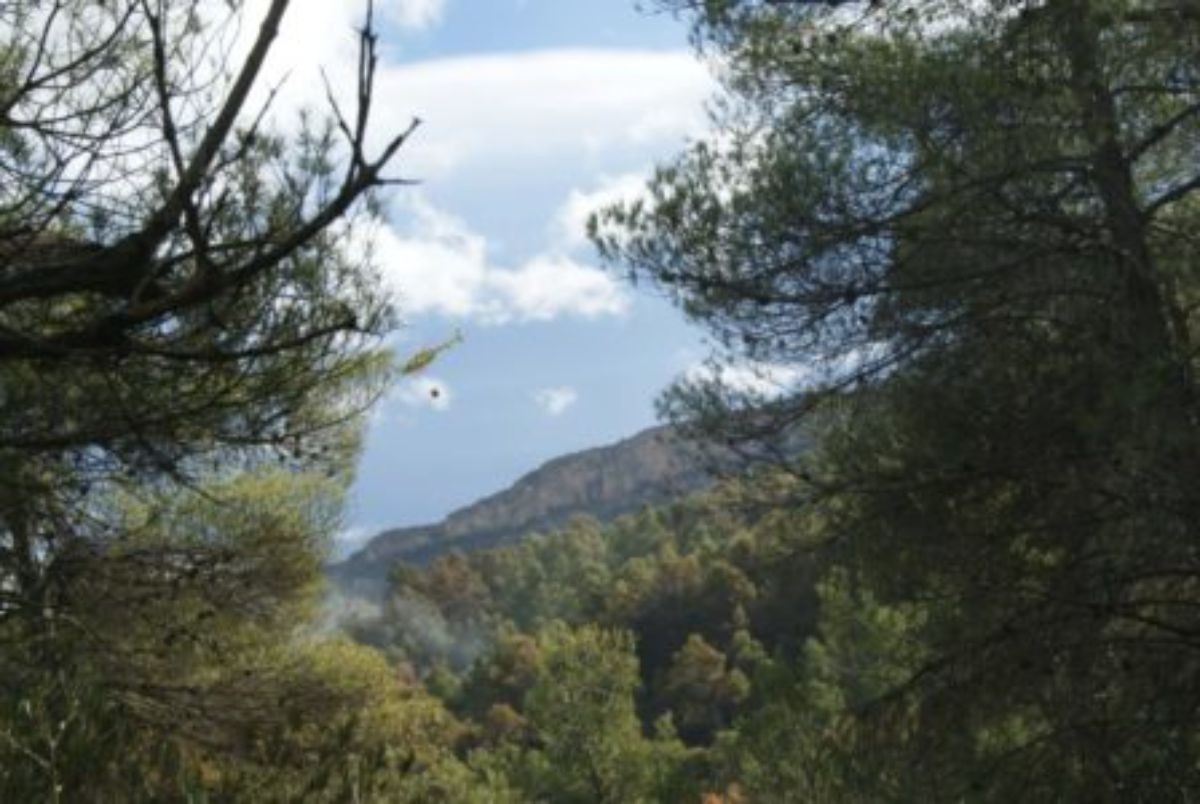 Imagen tomada en Valderrobres./ B.S.