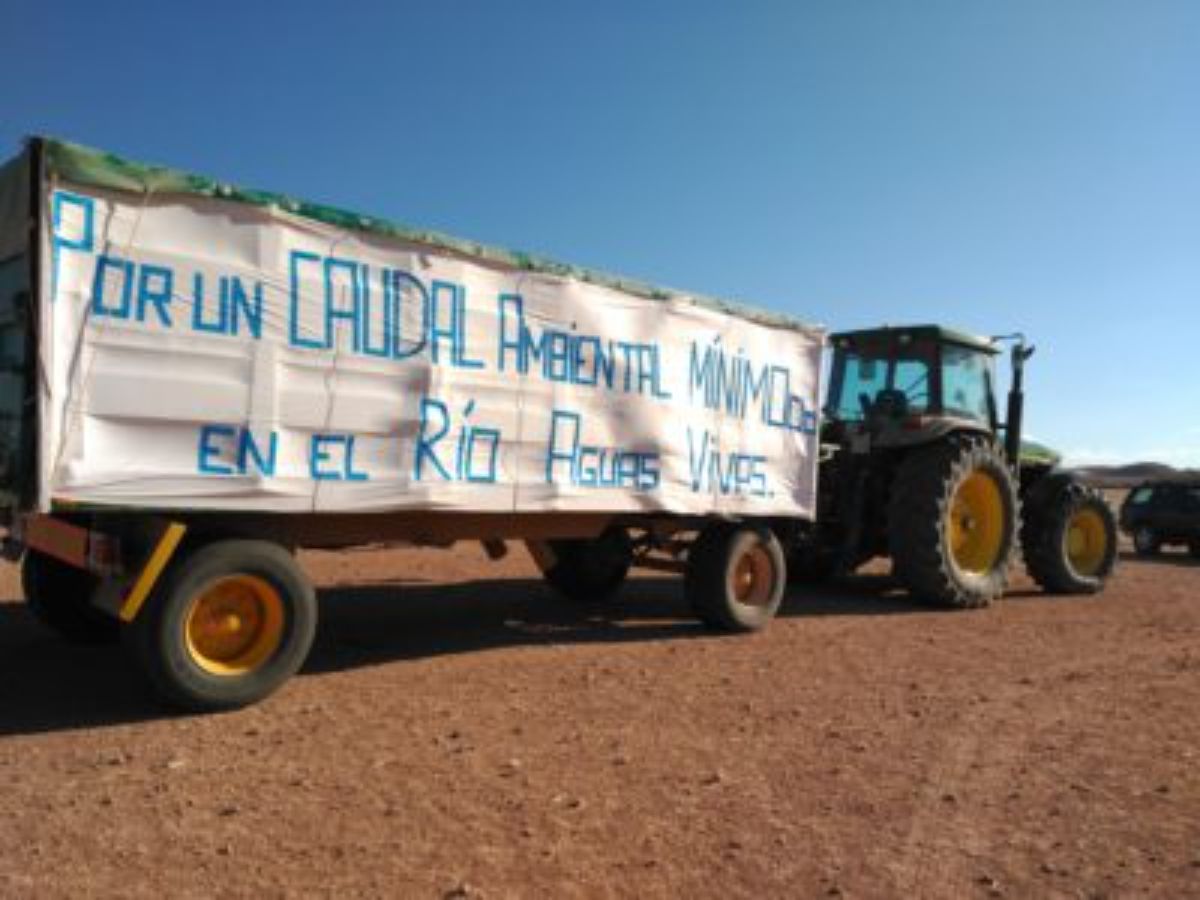 vinaceite aguasvivas vialaz