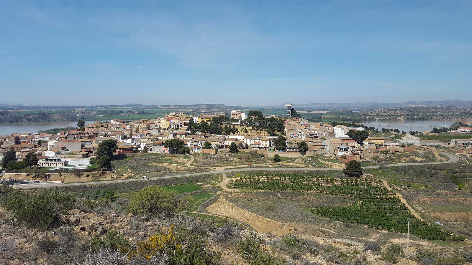 chiprana