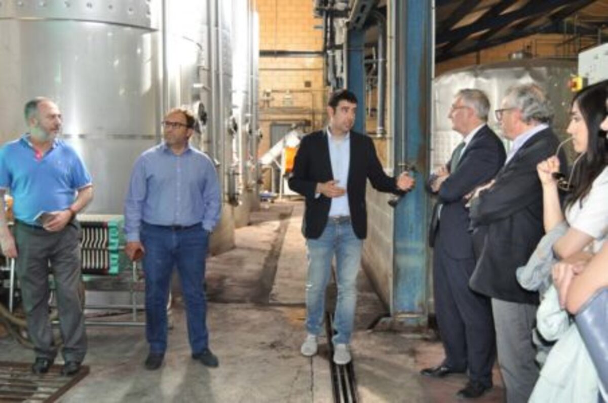 olona-visita-bodegas-matarrana