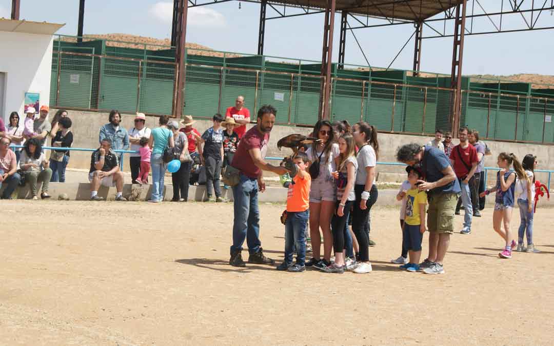 samper-feria-cetreria