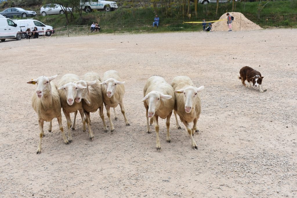 La Comarca