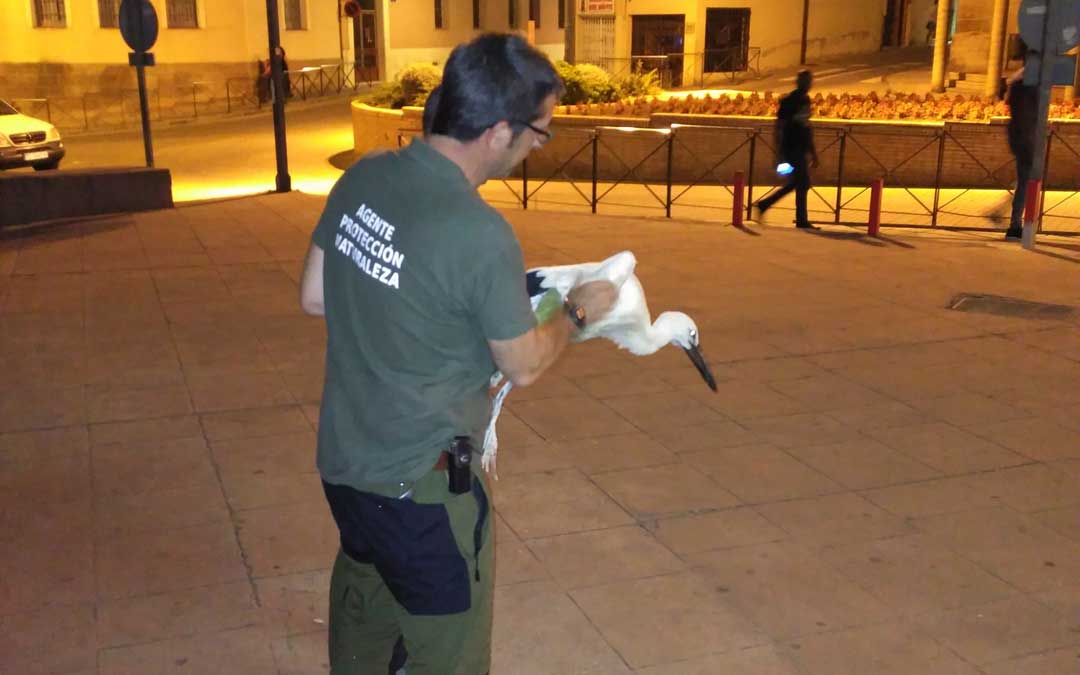 alcaniz-ciguena-agentes