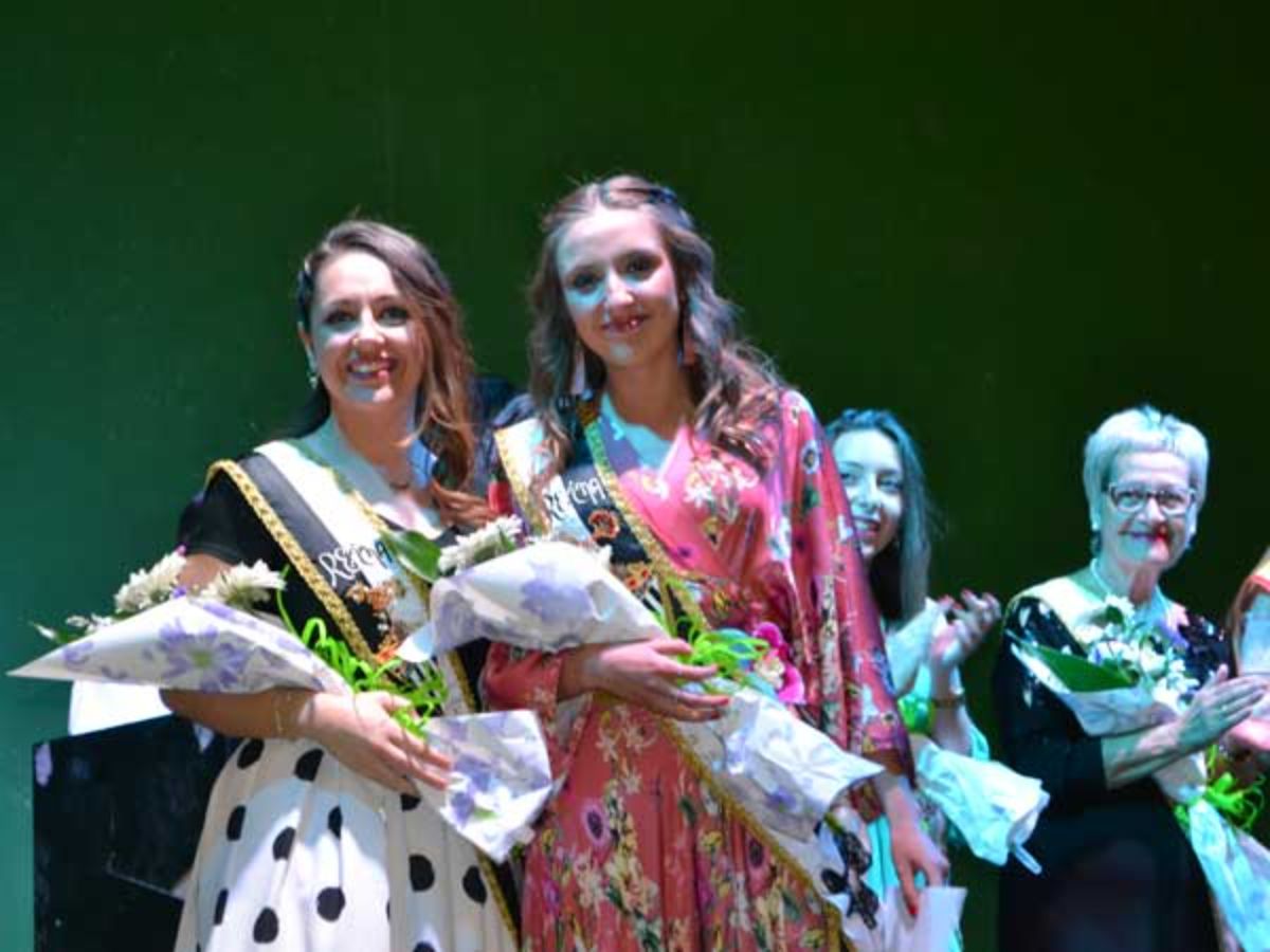 alcaniz reinas
