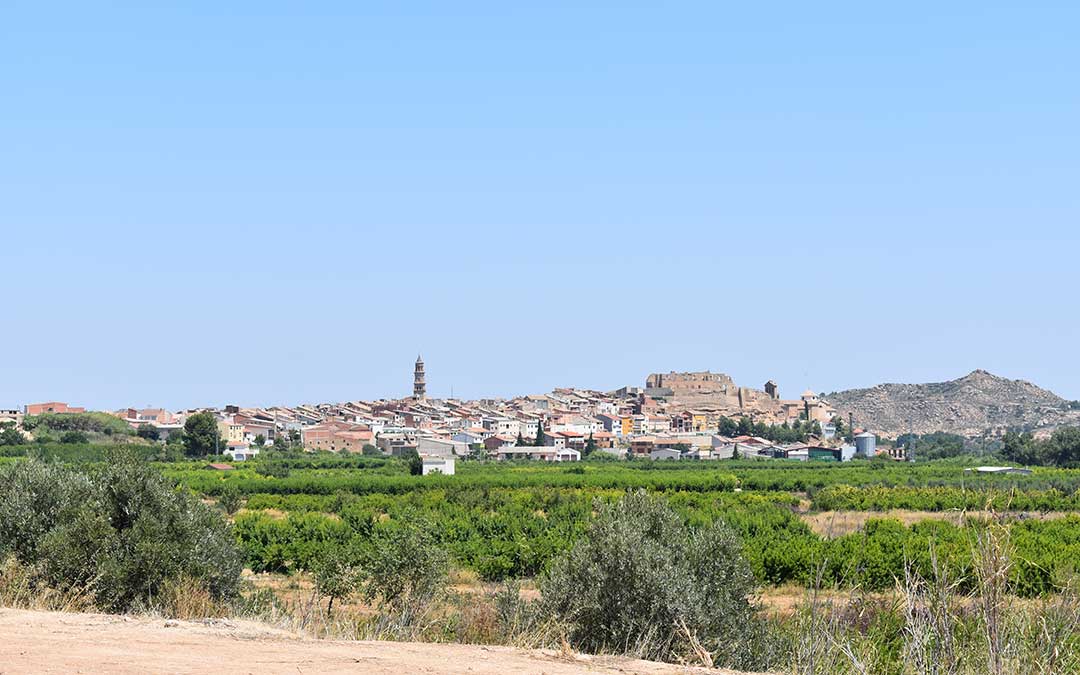 Maella es el municipio con más de 1.000 habitantes en Aragón que menor renta tiene.
