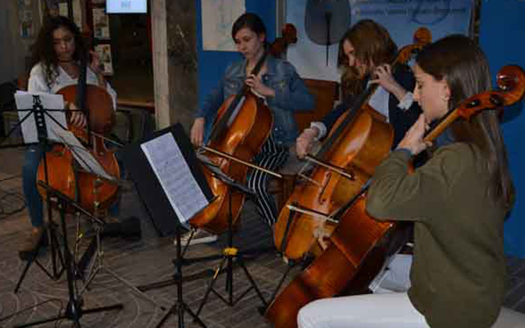 alcaniz-violoncello (2)
