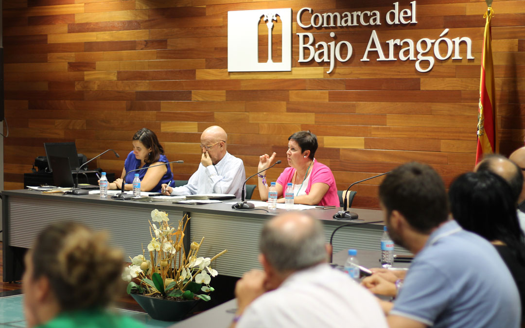 pleno-bajoaragon