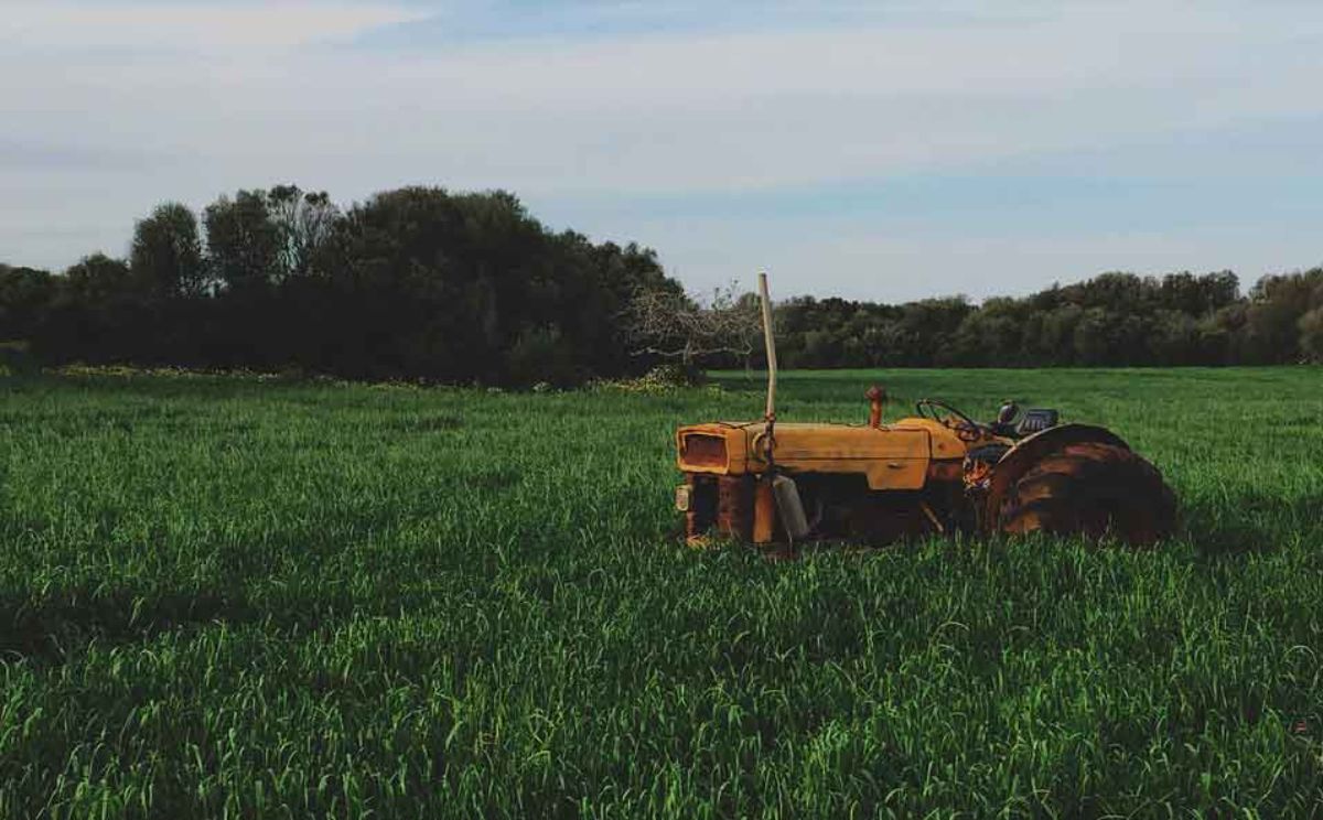 El objetivo es lograr que en Alcañiz se transforme el producto agrícola local y no solo que se produzca y se venda para crear riqueza en otras zonas.