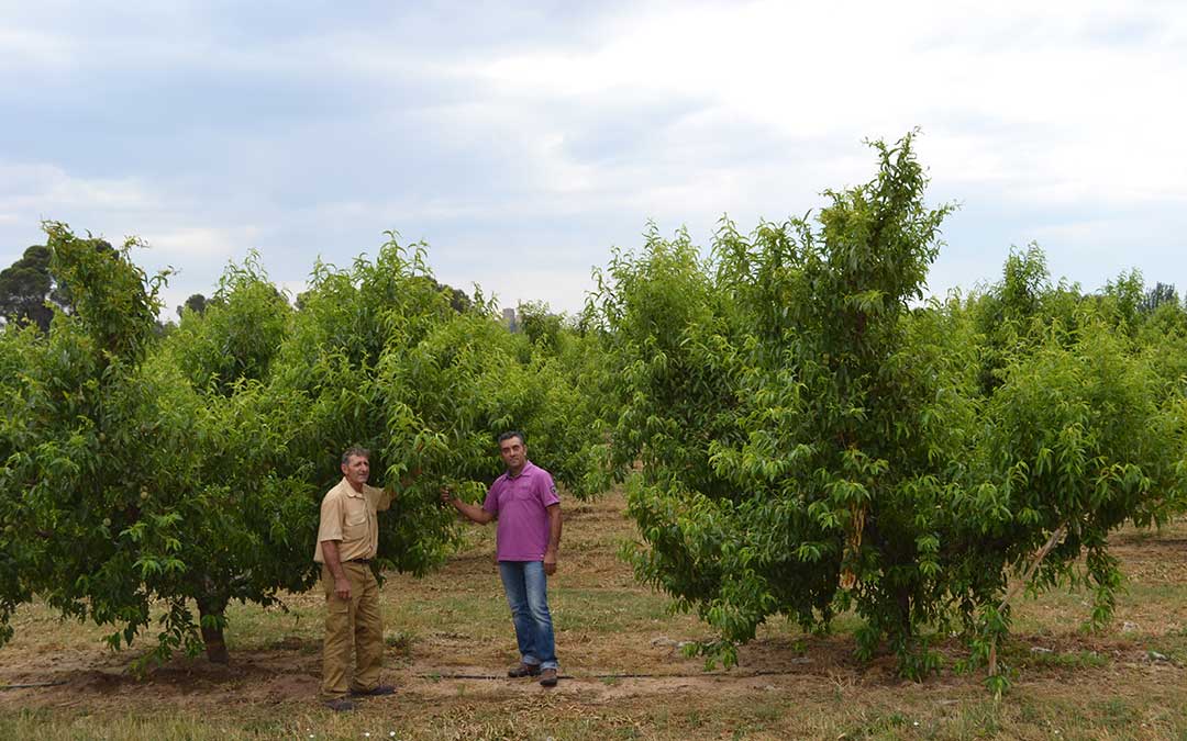 campo-gobierno-aragon