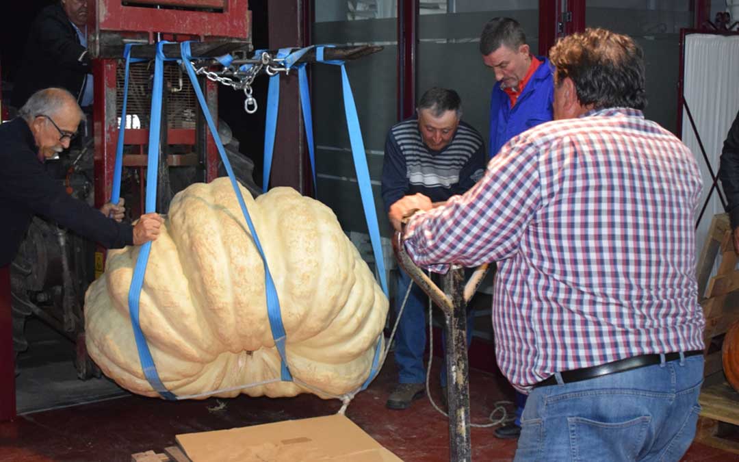 castellote-calabaza1