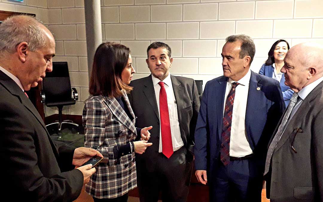 pleno-dpz