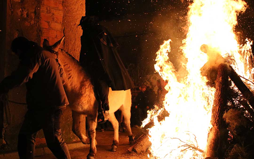 caballo hoguera santa encamisada