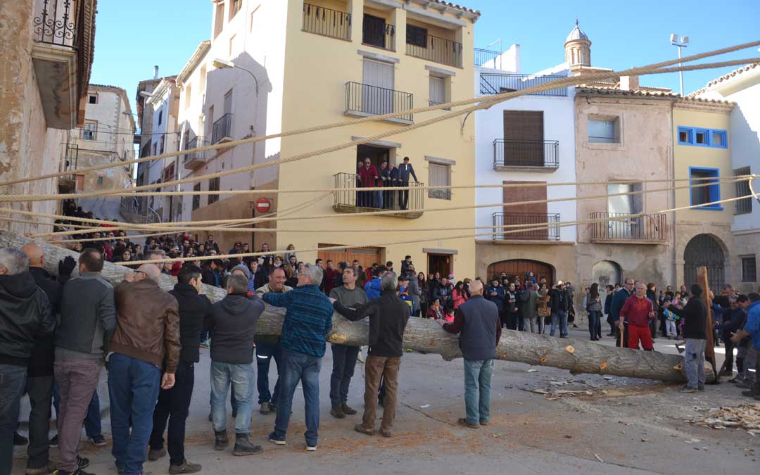 castelseras alamo