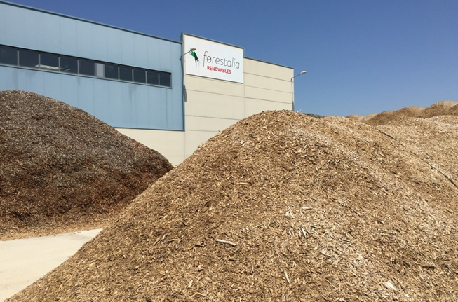 Forestalia quiere crear una empresa termoeléctrica de biomasa en la cuenca minera turolense como la de Cubillos de Sil (León)