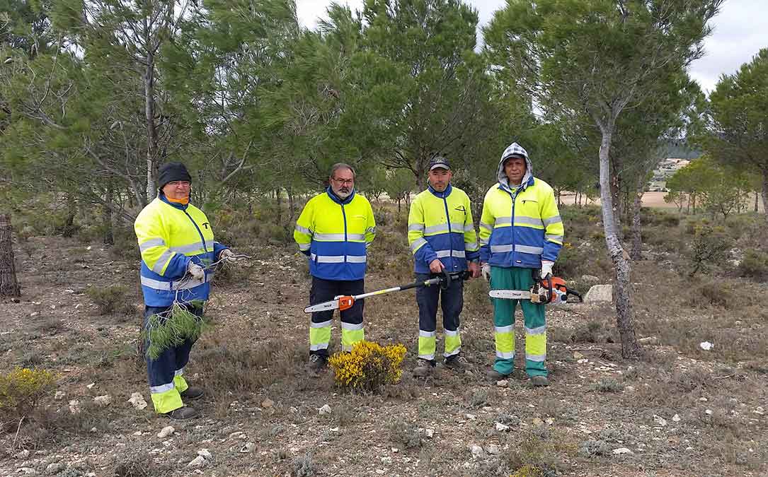 brigada albanileria jardineria comarca bajo aragon