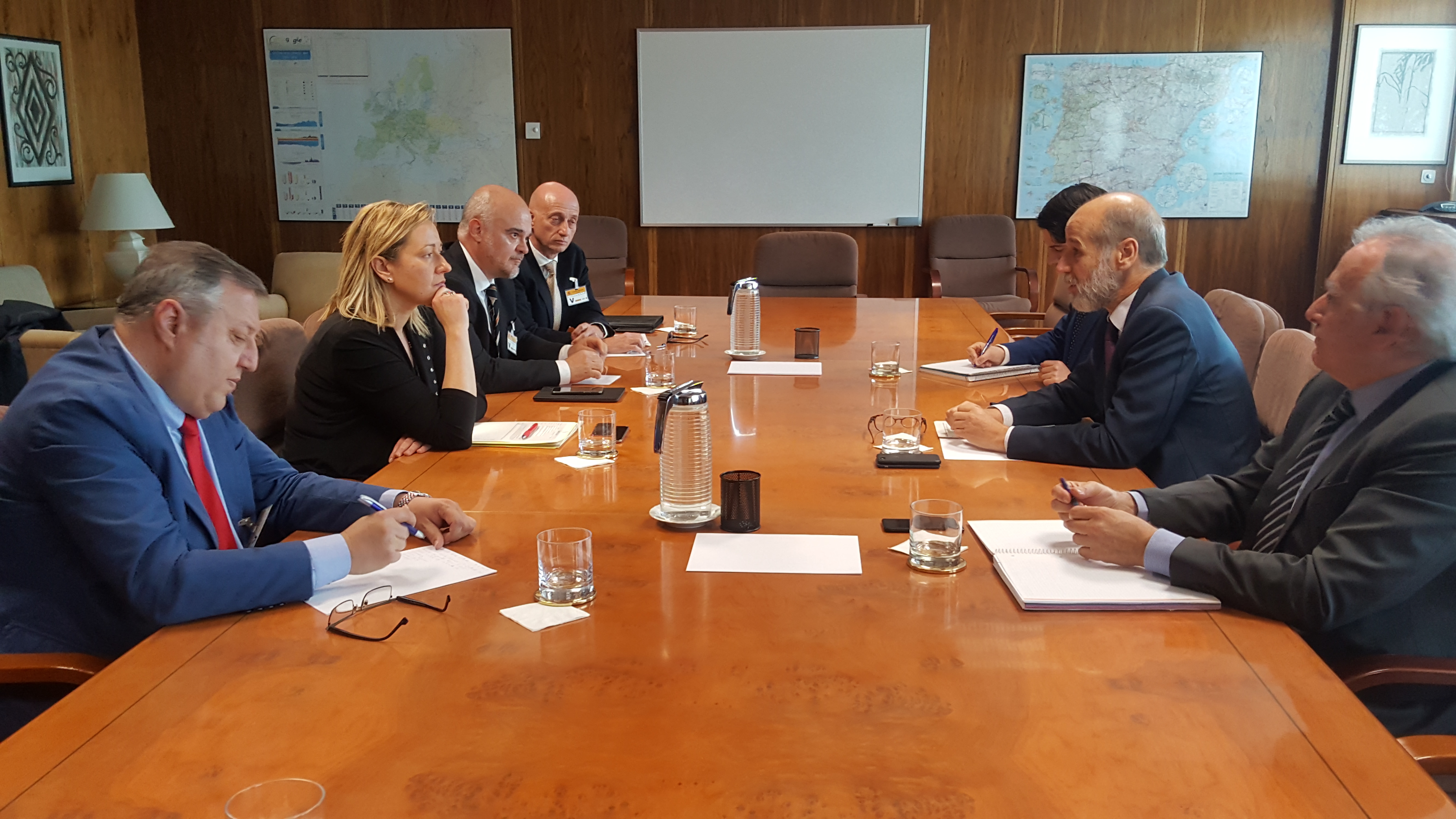 La consejera de Economía, Marta Gastón, durante la reunión mantenida este martes en Madrid junto al secretario de Estado de Energía.