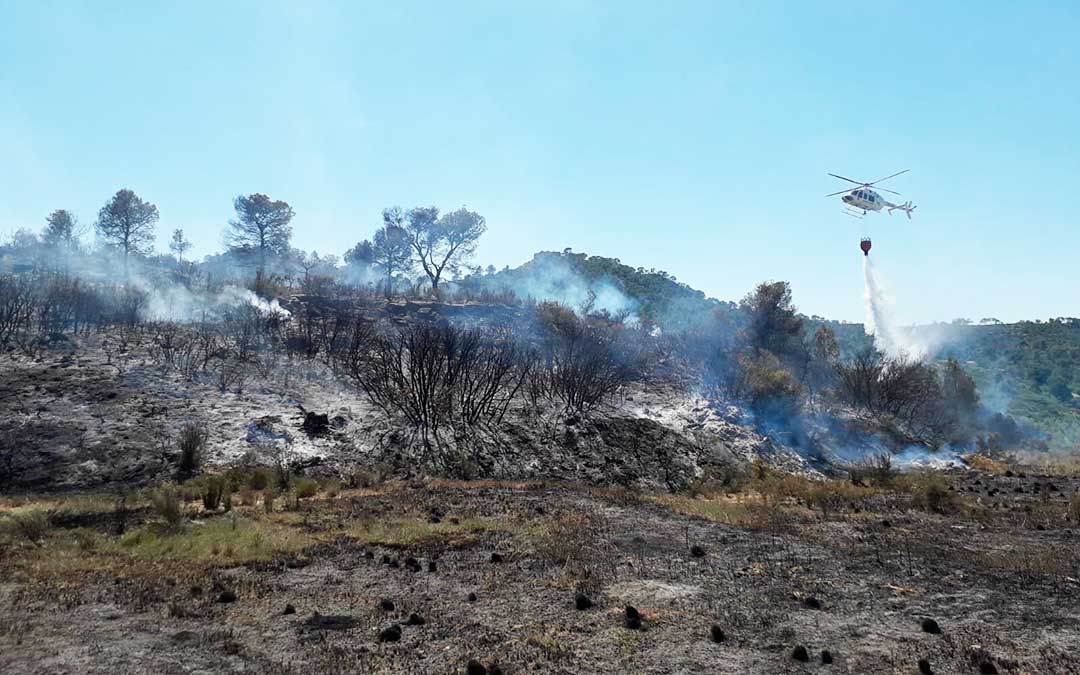El incendio sucedió en una zona de pinar el miércoles.