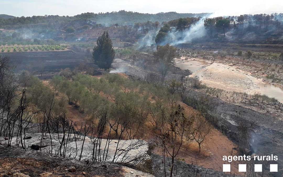 Imagen de la zona calcinada, esta tarde.