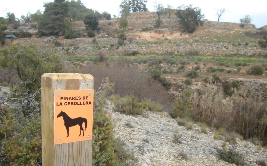 Poste característico de la ruta ecuestre