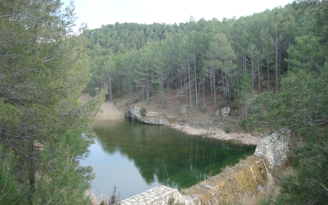 Zona de la ruta ecuestre "Pinares de la Cerollera"