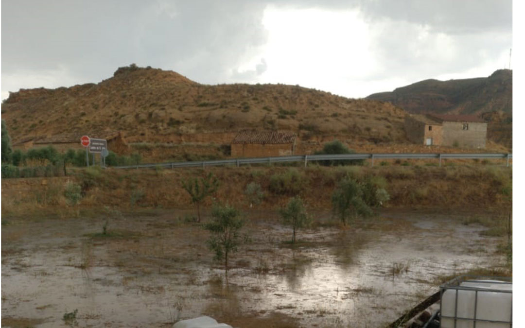 Campo de Albalate a lo largo de la tarde de ayer. // Rafa Royo