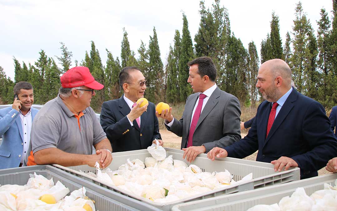 embajador taiwan jose maria liu alberto herrero calanda melocoton