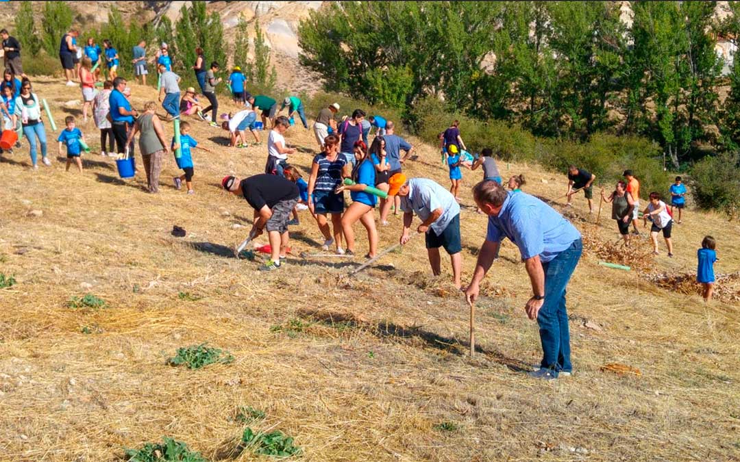 Niños y mayores plantan pinos en el antiguo vertedero de Cañizar del Olivar./ Antonio Herrera
