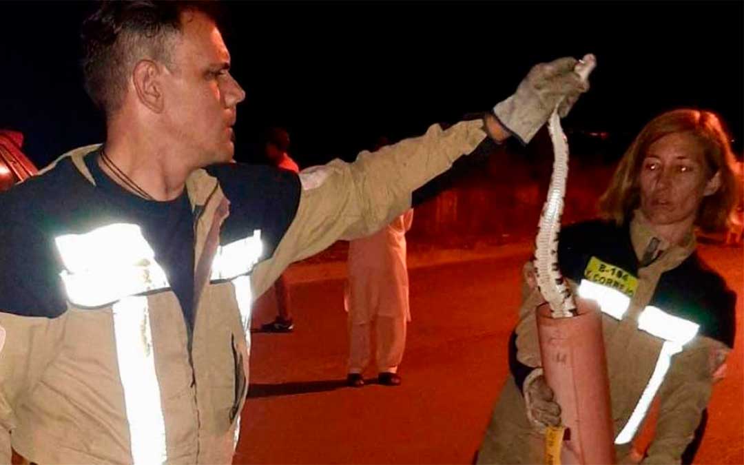 Los bomberos de la Diputación de Zaragoza capturando la serpiente el pasado 19 de agosto.