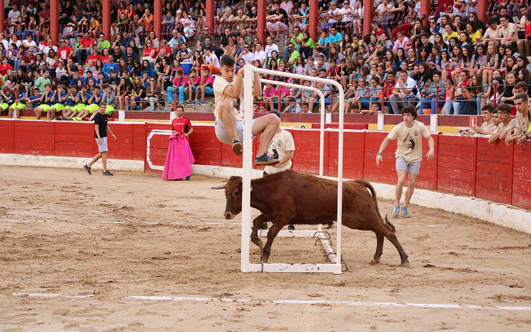 alcaniz-futbol-vaca
